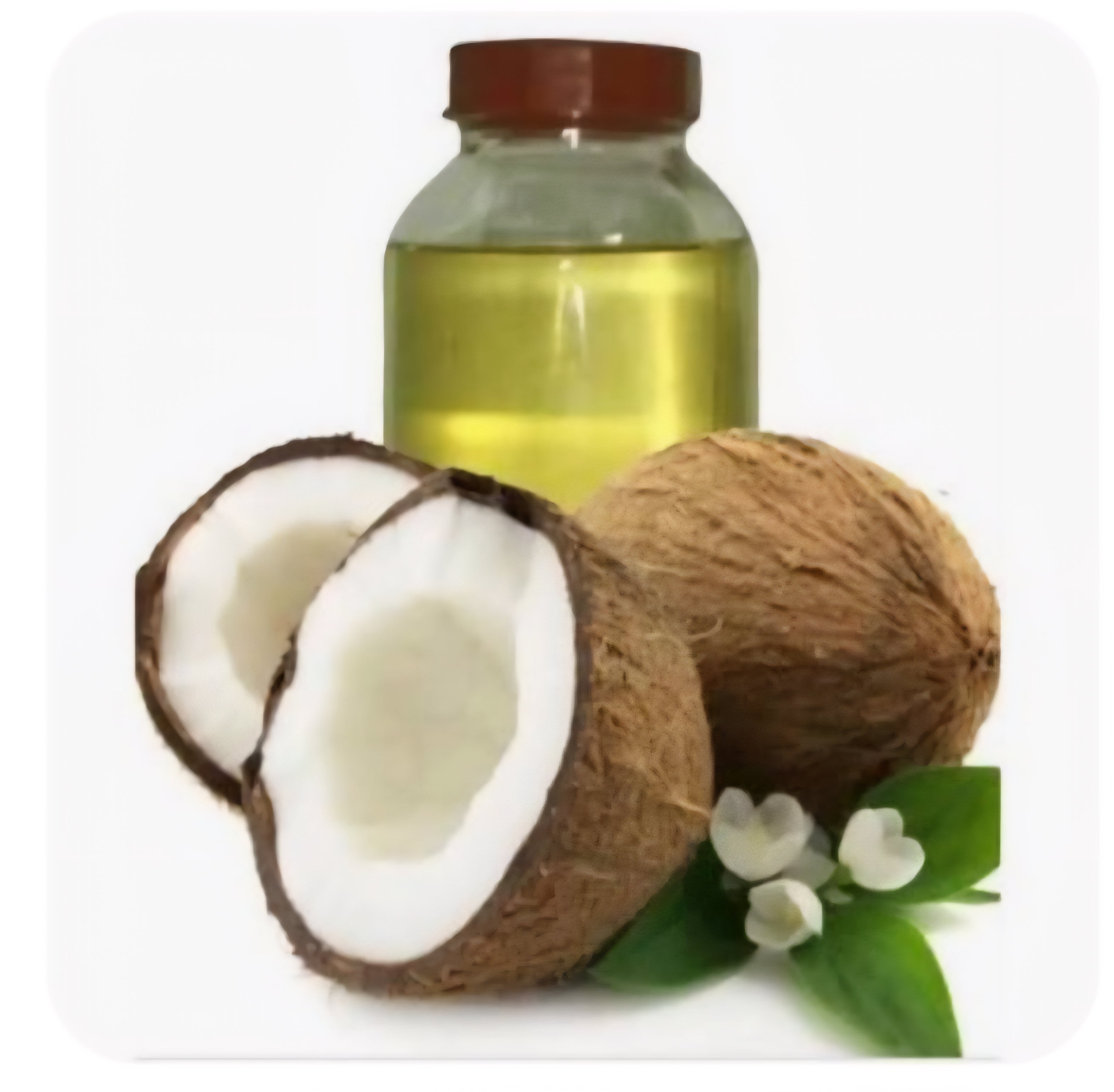 Coconut oil